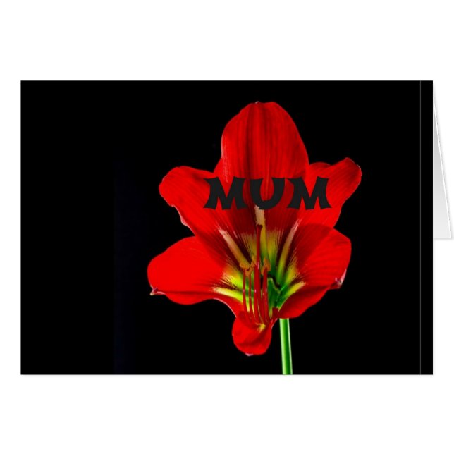 Mamá floral roja (Anverso (Horizontal))