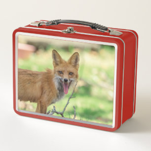 Mama Fox en el Valle de Hudson