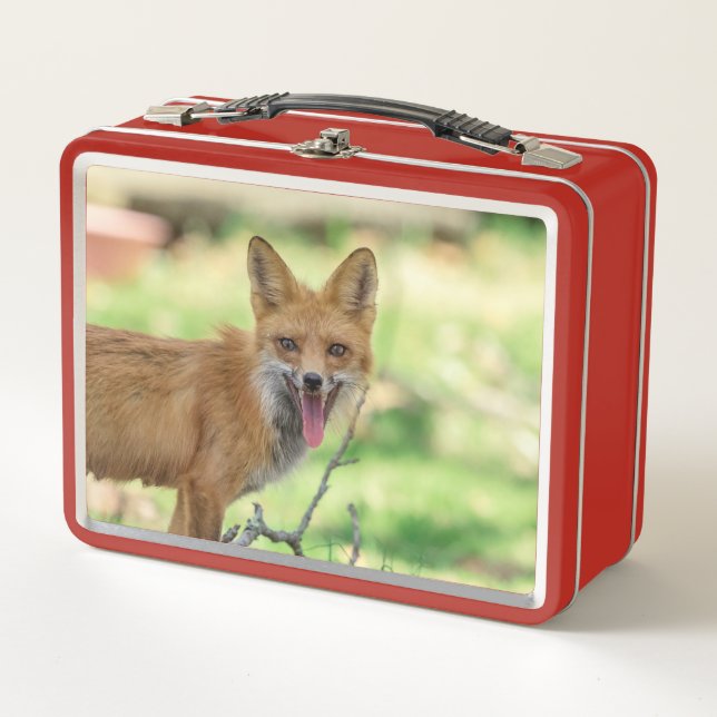 Mama Fox en el Valle de Hudson (Anverso)