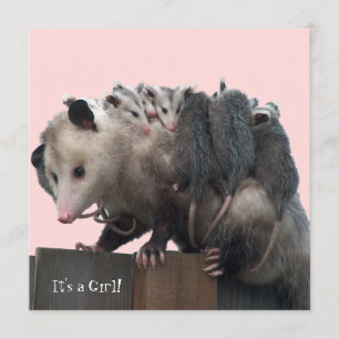 Mamá Possum: Humorística invitación a Baby Shower