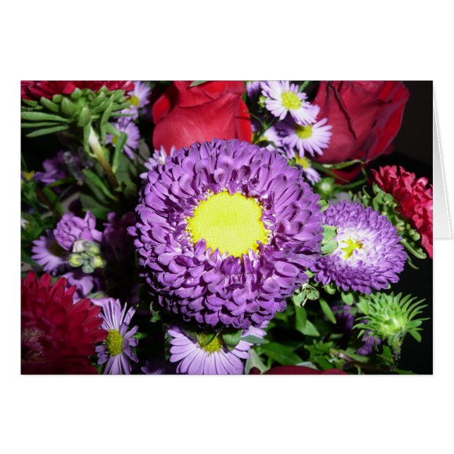 Mamá Purple Pom (Anverso (Horizontal))