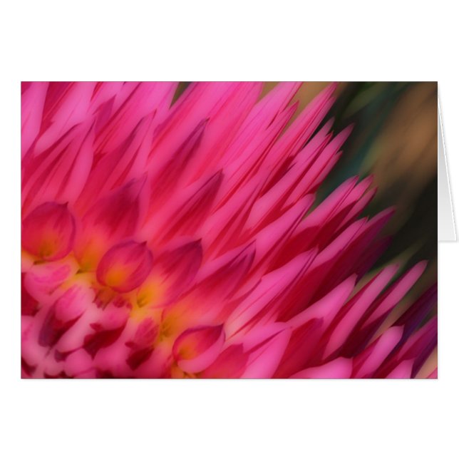 Mamá rosa (Anverso (Horizontal))