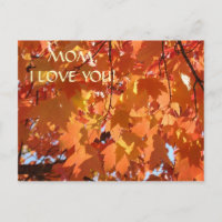 ¡MAMÁ TE QUIERO! Tarjeta postal Hojas de Otoño Tar