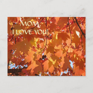 ¡MAMÁ TE QUIERO! Tarjeta postal Hojas de Otoño Tar