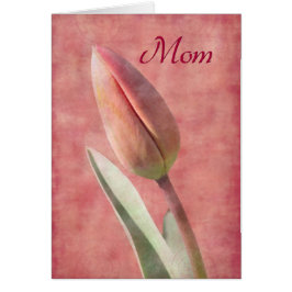 Mamá Tulip