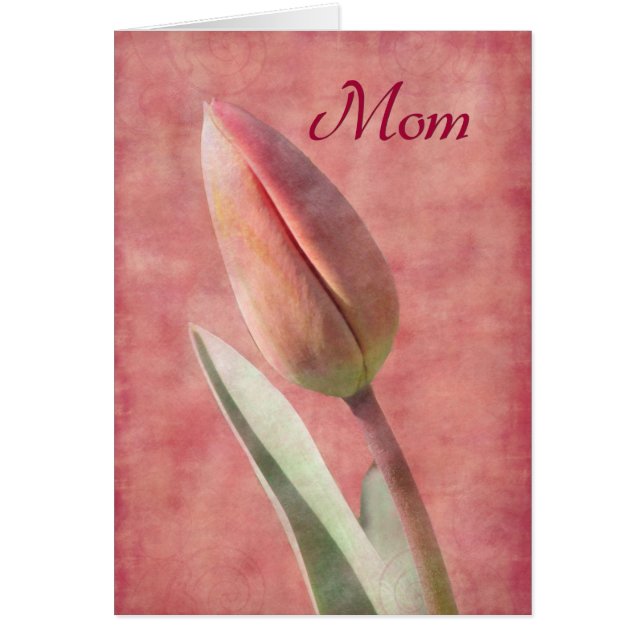 Mamá Tulip (Frente)