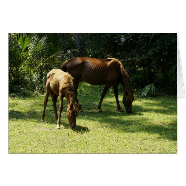 Mamá y bebé (Anverso (Horizontal))