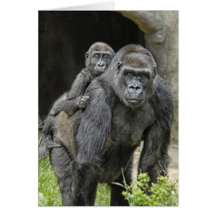 Mamá y bebé #1 del "transporte por ferrocarril"