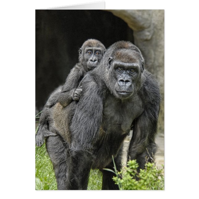 Mamá y bebé #1 del "transporte por ferrocarril" (Frente)