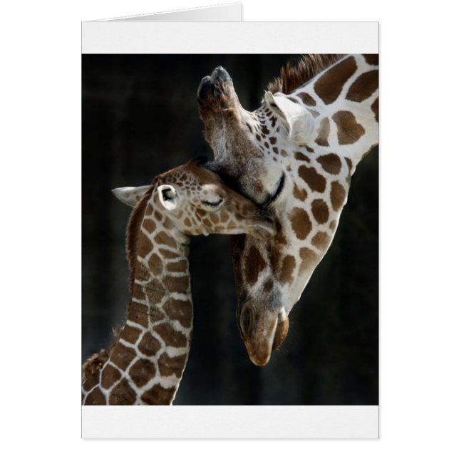 Mamá y bebé Giraffe Cuddle (Frente)