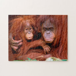 Mamá y bebé orangutanes, rompecabezas