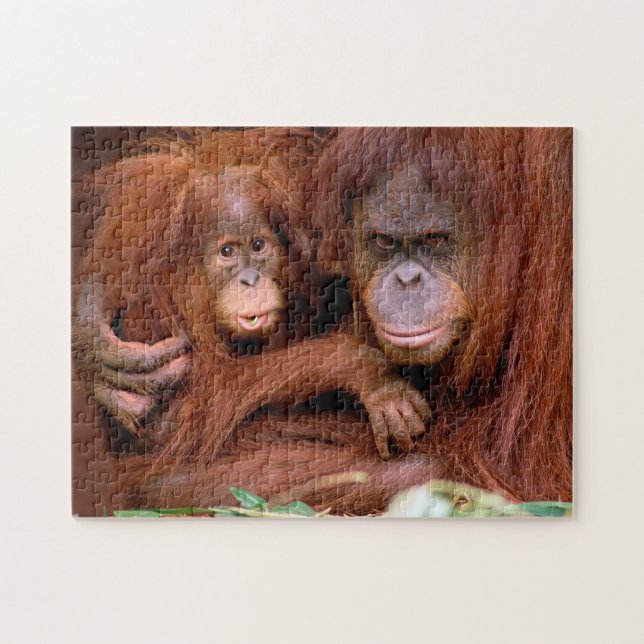 Mamá y bebé orangutanes, rompecabezas (Horizontal)