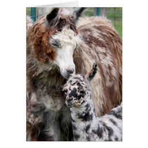 Mamá y el bebé llaman a un beso