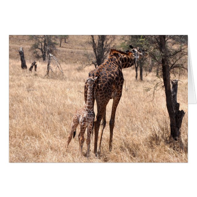 Mamá y yo (Anverso (Horizontal))
