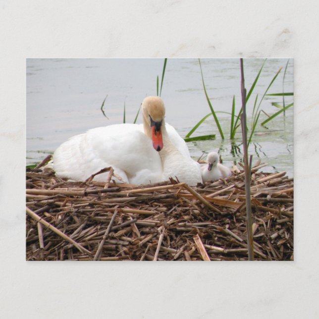 Mamá y yo (2) postal (Anverso)