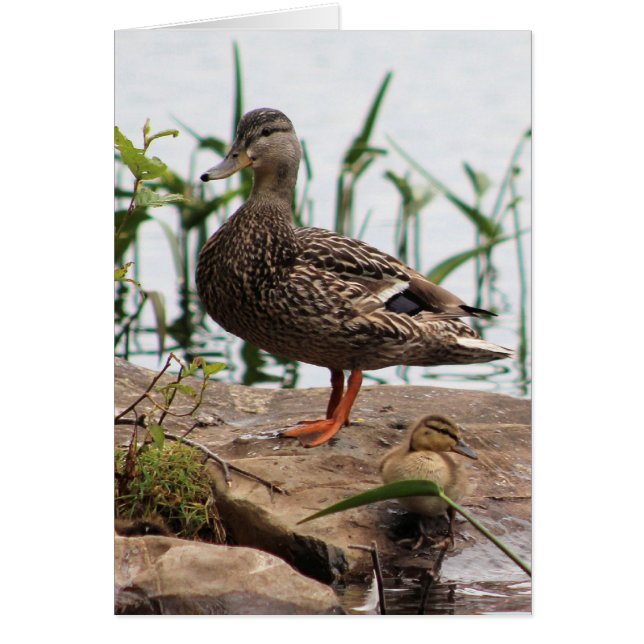 Mami y bebé 2 (Frente)