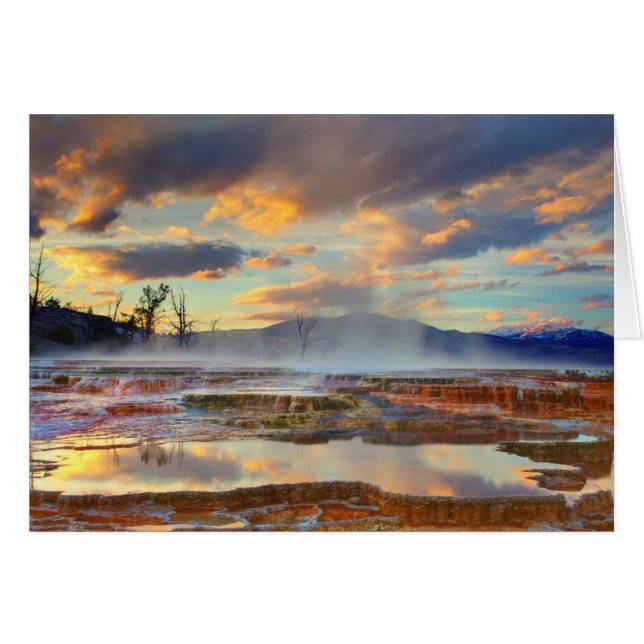 Mammoth Hot Springs (Anverso (Horizontal))