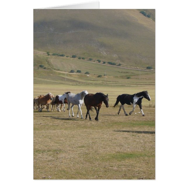 Manada de Caballos (Frente)