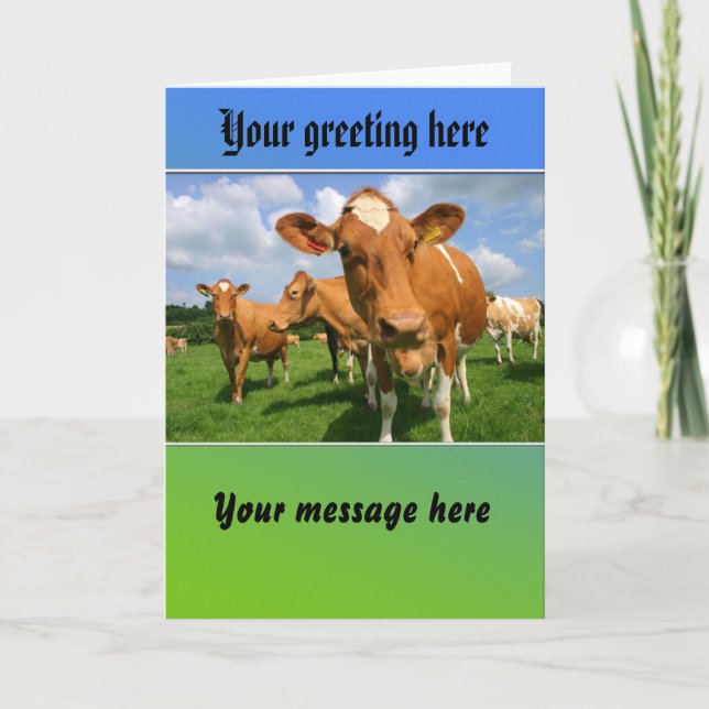Manada de la tarjeta de felicitación de las vacas (Anverso)