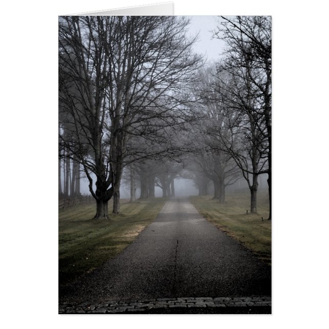 Mañana brumosa en Maine (Frente)