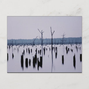 "Mañana de duelo" - postal