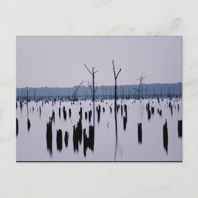 "Mañana de duelo" - postal (Anverso)