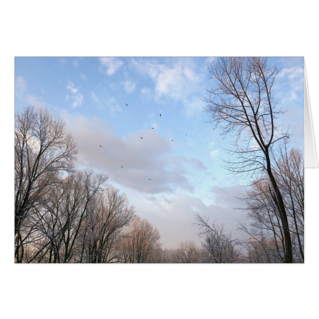 Mañana de invierno I (Anverso (Horizontal))