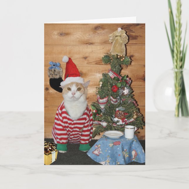 Mañana de navidad divertida del gato/del gatito (Anverso)
