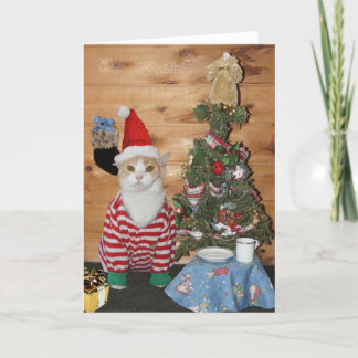 Mañana de navidad divertida del gato/del gatito