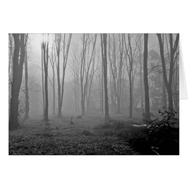 Mañana de niebla (Anverso (Horizontal))