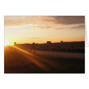 Mañana de noviembre