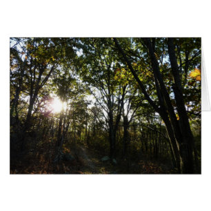 Mañana de otoño en el Parque Nacional de Shenandoa