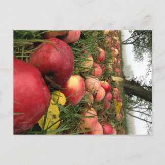 Mañana de otoño en la postal de Orchard
