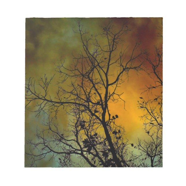 Mañana de tormenta con bloc de notas de árbol (Frente)