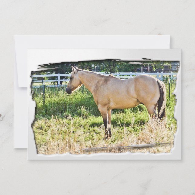 Mañana desplegada al sol con marco blanco (Anverso)