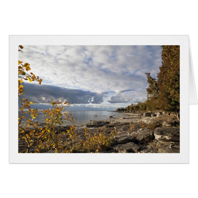 Mañana/el lago Michigan del otoño (Anverso (Horizontal))