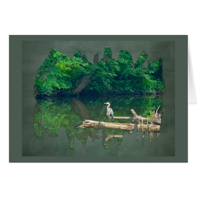 Mañana en el Creek (Anverso (Horizontal))