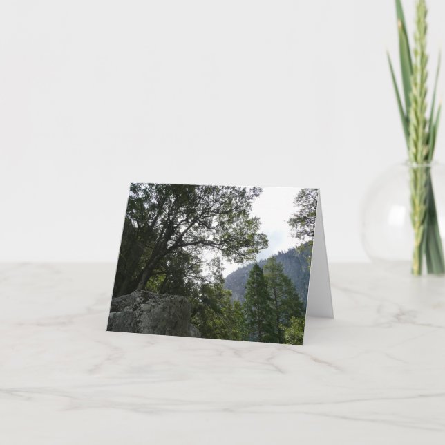 Mañana en el sendero a las cataratas vernales en Y (Anverso)