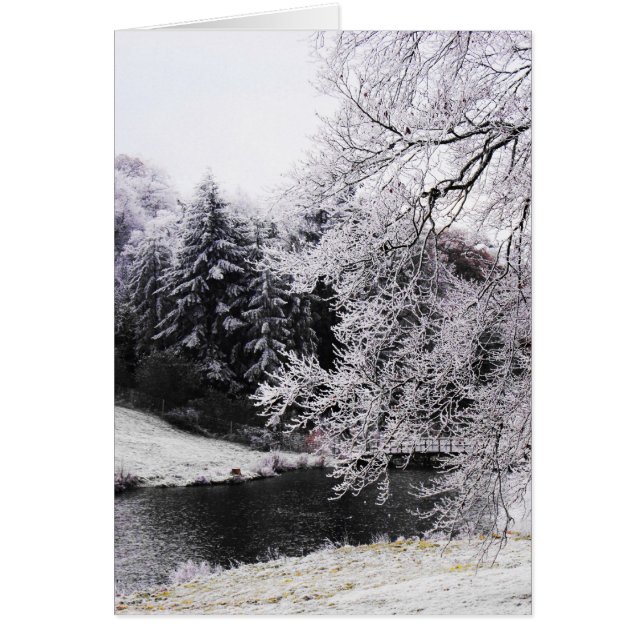 Mañana fría de helado (Frente)