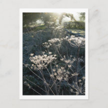 Mañana helada en la postal de Cheshire