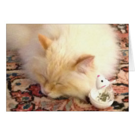 Mañana, Tomamos El Punto Rojo