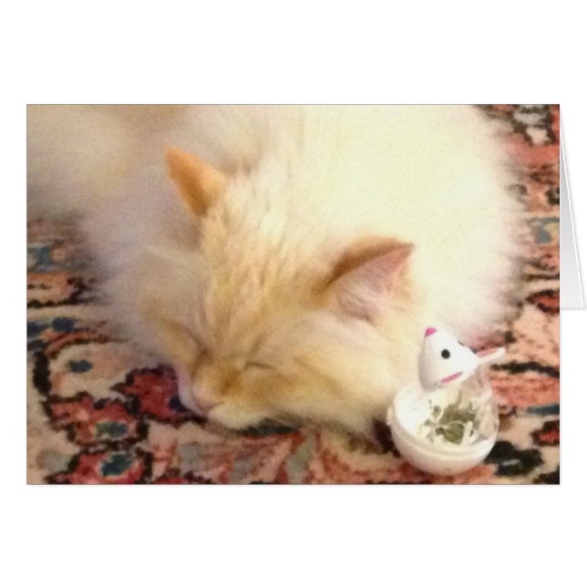 Mañana, Tomamos El Punto Rojo (Anverso (Horizontal))