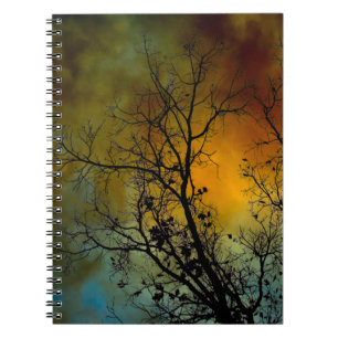 Mañana tormentosa con cuaderno de árbol