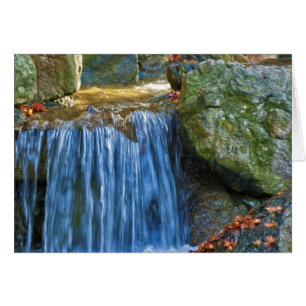 Manantial de agua azul