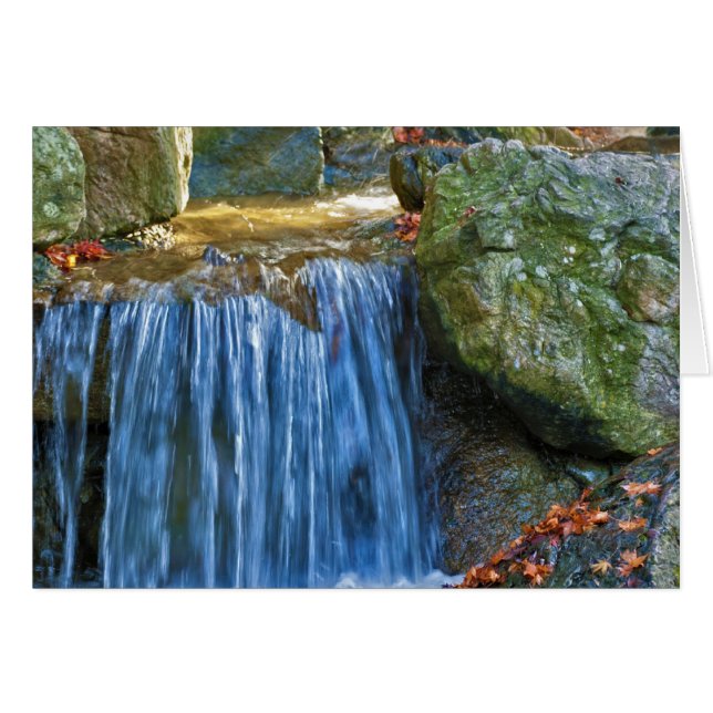 Manantial de agua azul (Anverso (Horizontal))