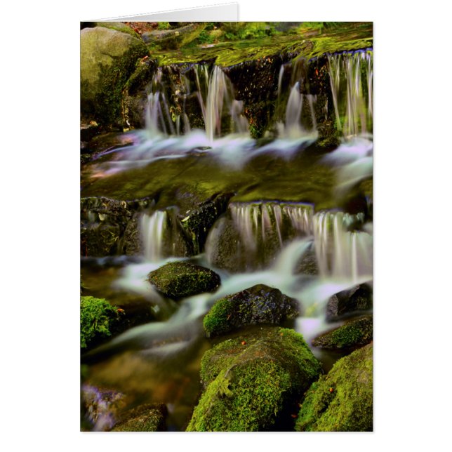 Manantial de helechos, Parque Nacional Yosemite, C (Frente)