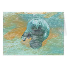 Manatee amable y pacífico