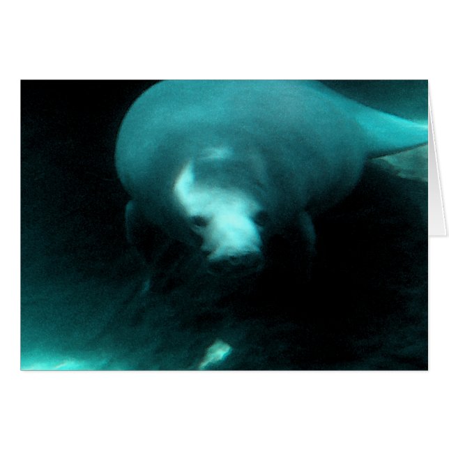 Manatee Dreams (Anverso (Horizontal))