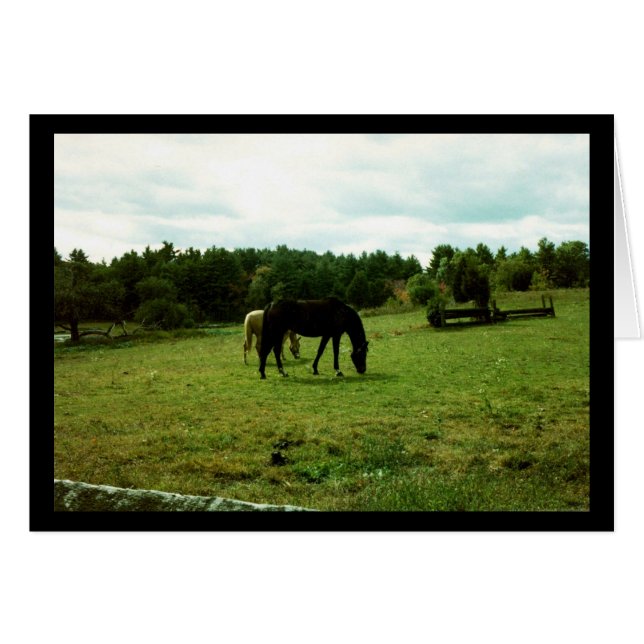 Mancha de caballos (Anverso (Horizontal))