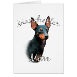 Manchester Terrier Mom 2